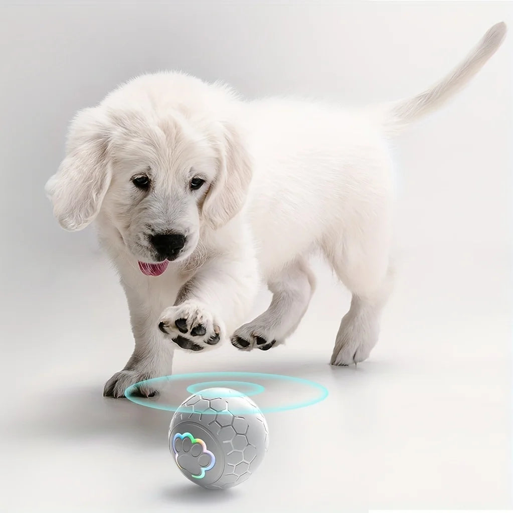 PawRollerâą