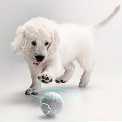 PawRoller™